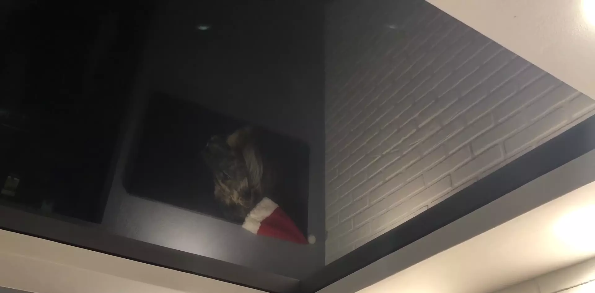 Нижнекамск, Первопроходцев, 7, фото 3