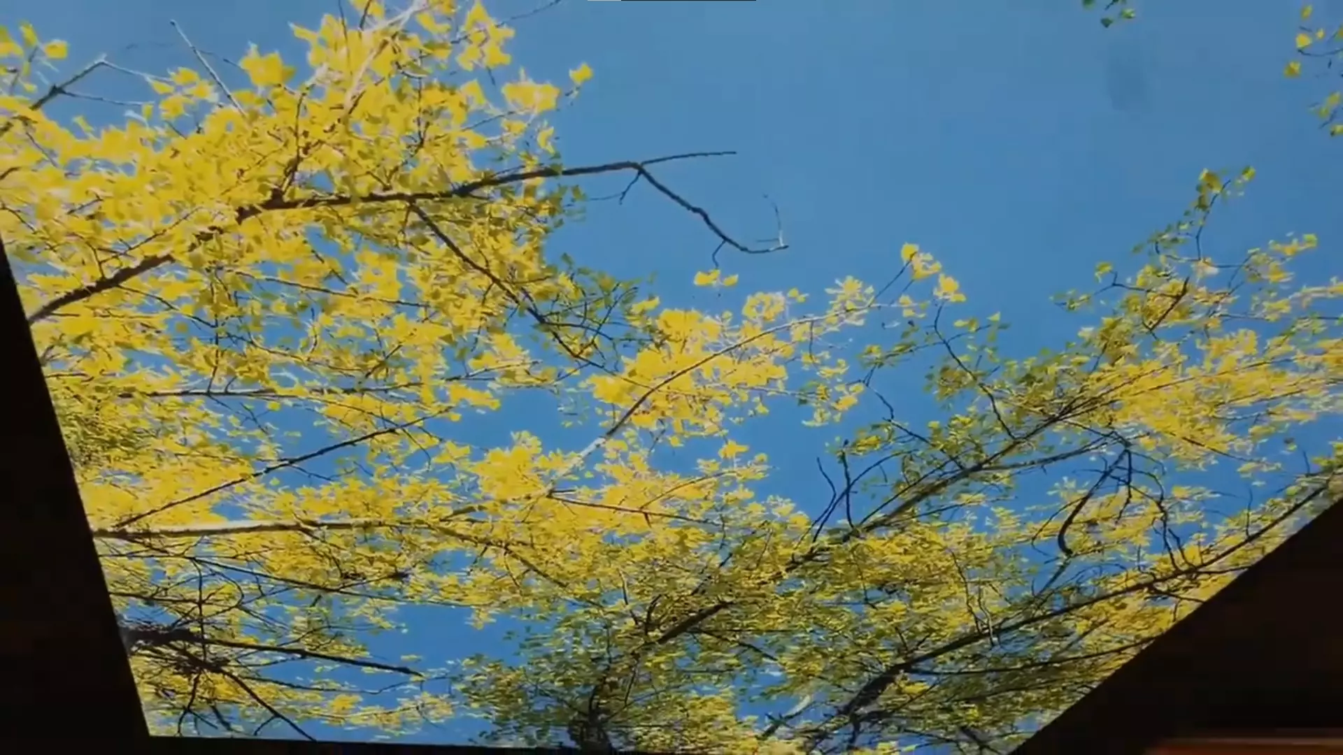 Нижнекамск, , фото 2