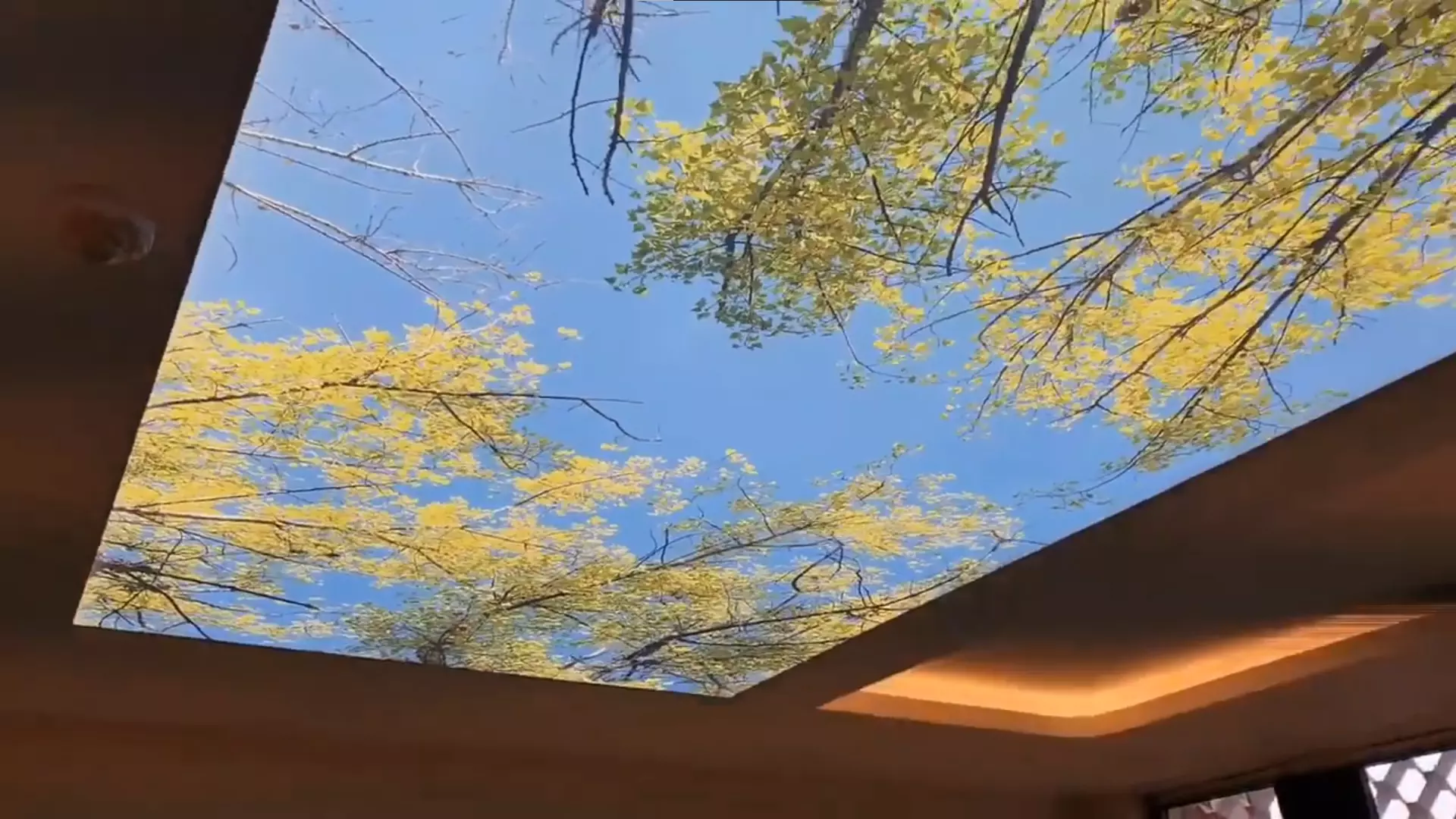 Нижнекамск, , фото 3